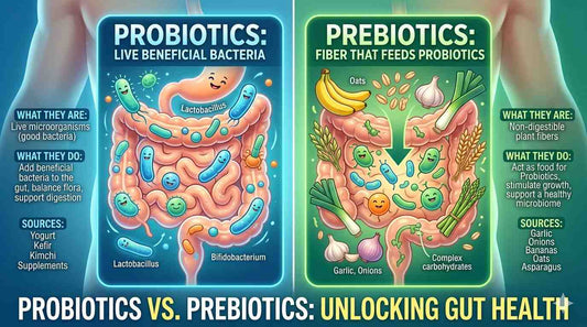 Prebiotics and Probiotics in My Diet: Clear Guide for a Healthy Gut in 2026 NUTRIILAB