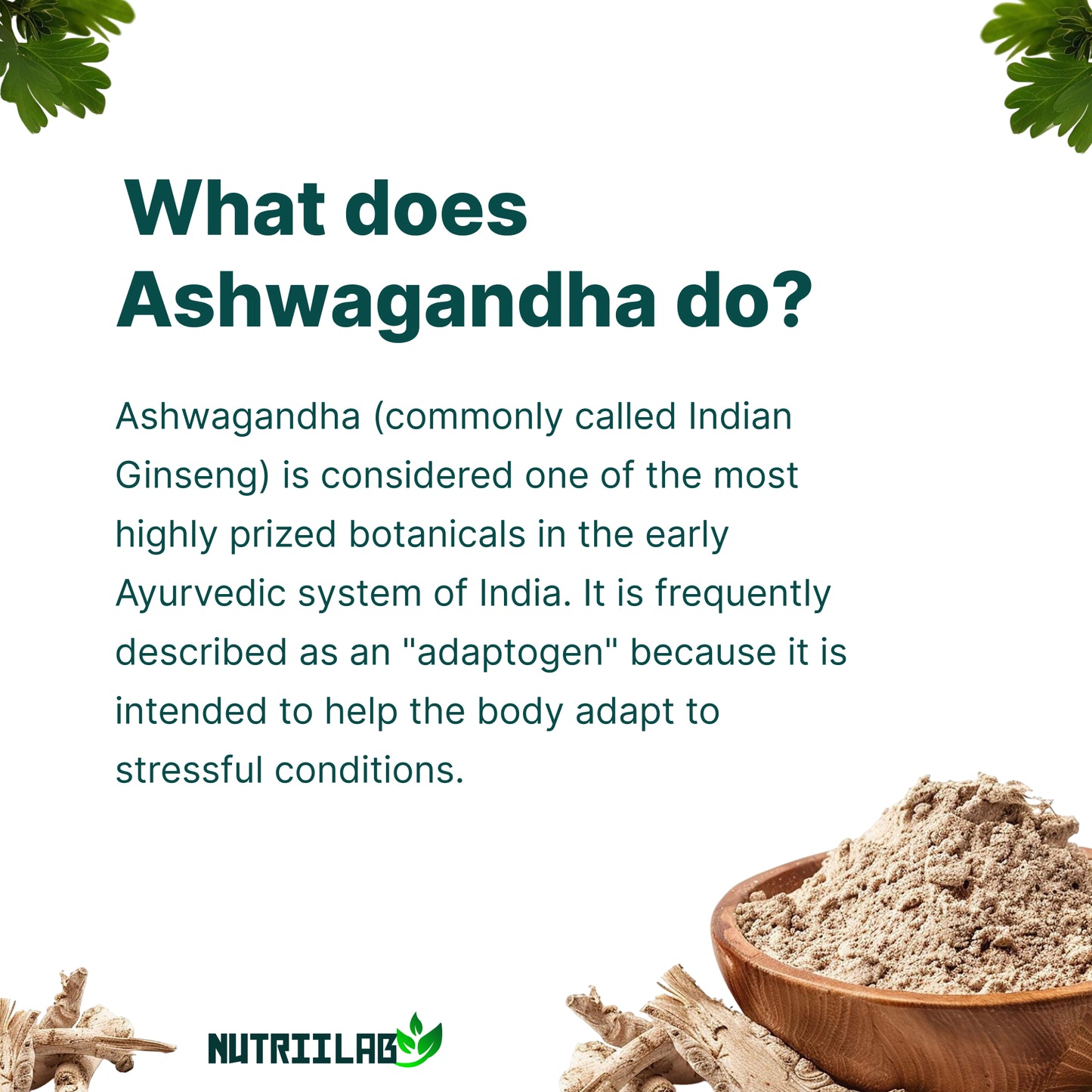 Nutriilab Organic Ashwagandha with Black Pepper