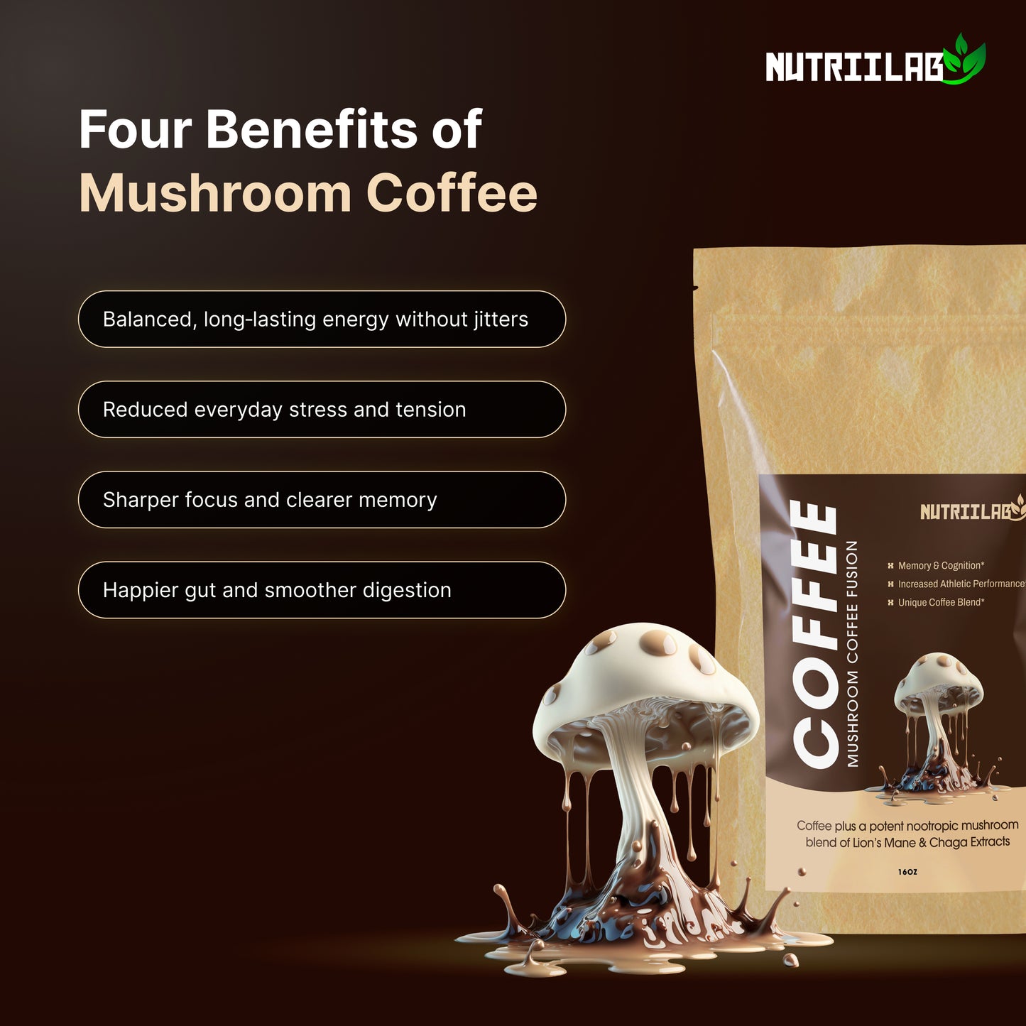 Nutriilab Mushroom Coffee | Best Organic Ground Coffee with Lion's Mane Mushroom and Chaga