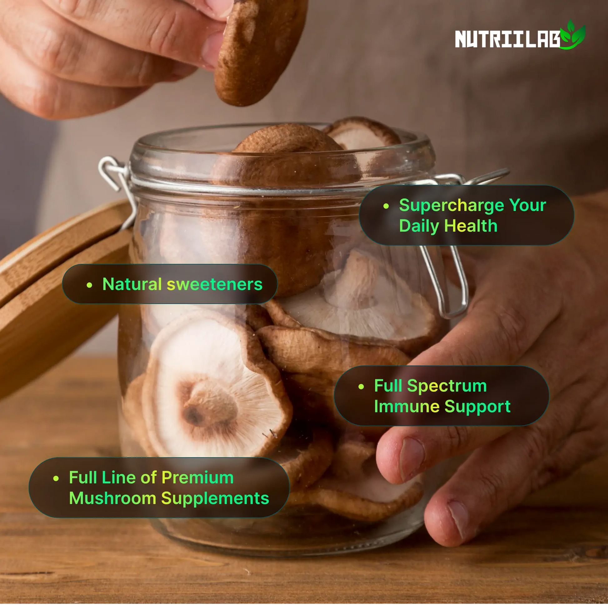 Organic Fermented Mushroom Blend NUTRIILAB
