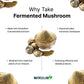 Organic Fermented Mushroom Blend NUTRIILAB