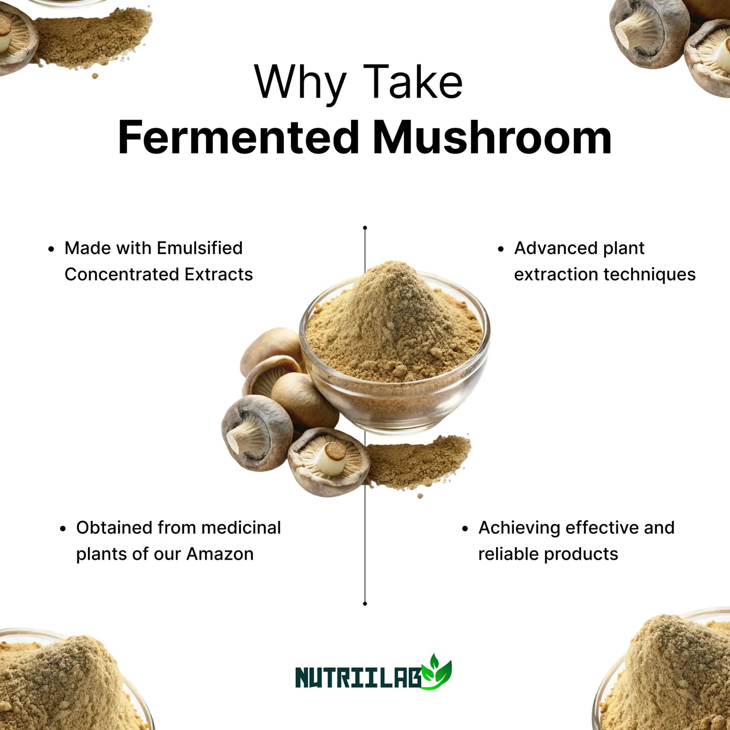 Organic Fermented Mushroom Blend NUTRIILAB