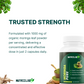 Nutriilab Moringa Pure (60 Vegetable Capsules)